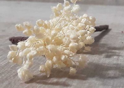 Pin pelo paniculata preservada. Flores para el pelo. Novias