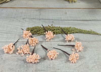 Pin de pelo de paniculata preservada color salmon