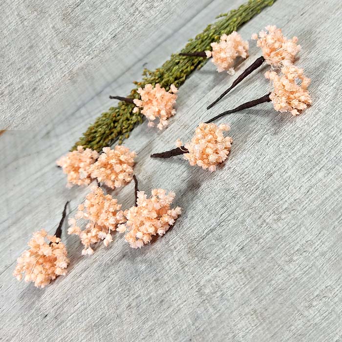 5 Paniculata Rosa para el Pelo - Imagen 3