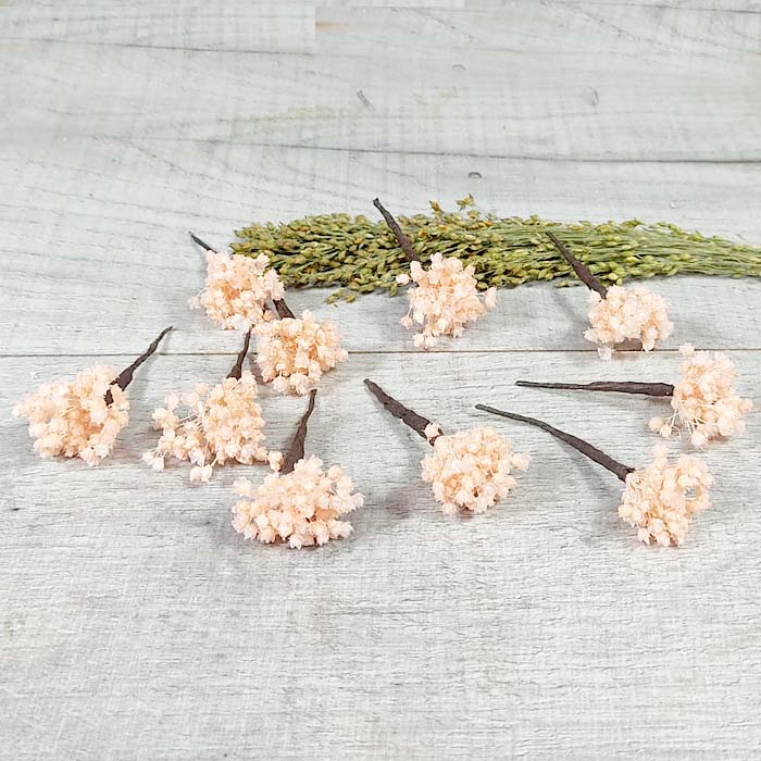 5 Paniculata Rosa para el Pelo - Imagen 2