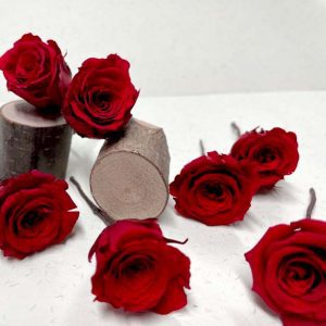 Pin de Rosas Rojas