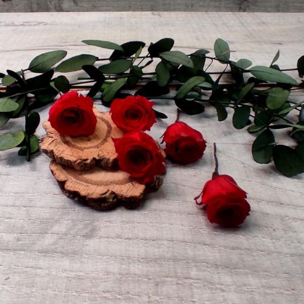Pin de Rosas Rojas para el Pelo