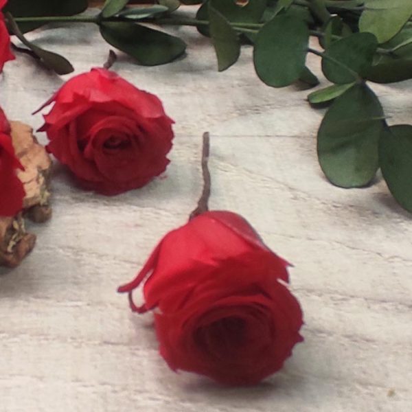 5 Pin de Rosas Rojas - Imagen 2