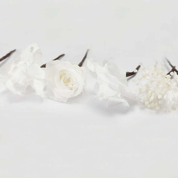5 Rosas Hortensia Paniculata Blanca - Imagen 2
