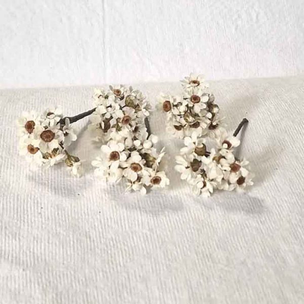 5 Pin Pelo Margarita Preservada - Imagen 4