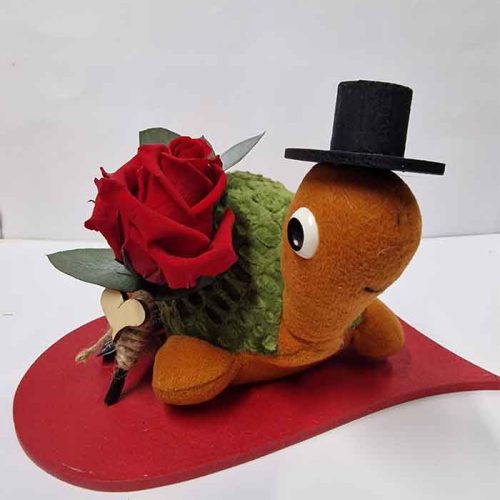 kit una Rosa y una Tortuga. Regala por San Valentín,