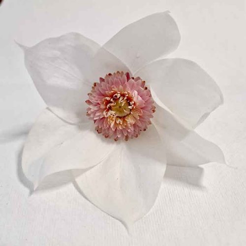 Tocado de Magnolia Preservada