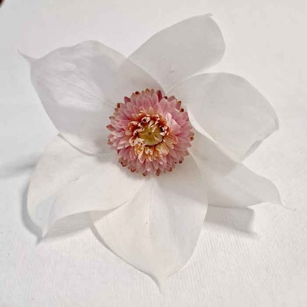 Tocado de Magnolia Preservada